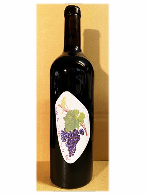 VdFルージュ・ピノ・ノワール2022 レ・カイユ・デュ・パラディ　★お一人様１本限り