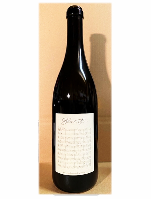 VdFブラン・エトセトラ・ヴァン・ブラン2020 ディディエ・ダグノー（野村ユニソン輸入）