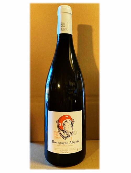 ブルゴーニュ・アリゴテ・マセラシオン2023 ヴィニ・ヴィティ・ヴィンチ