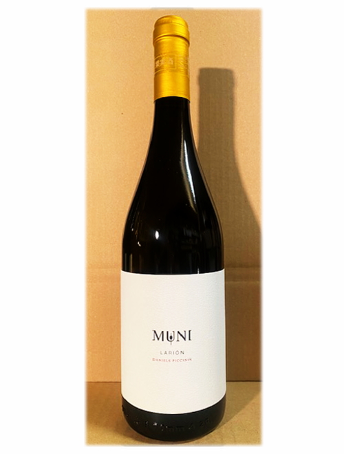 ラリオン2024 ダニエーレ・ピッチニン