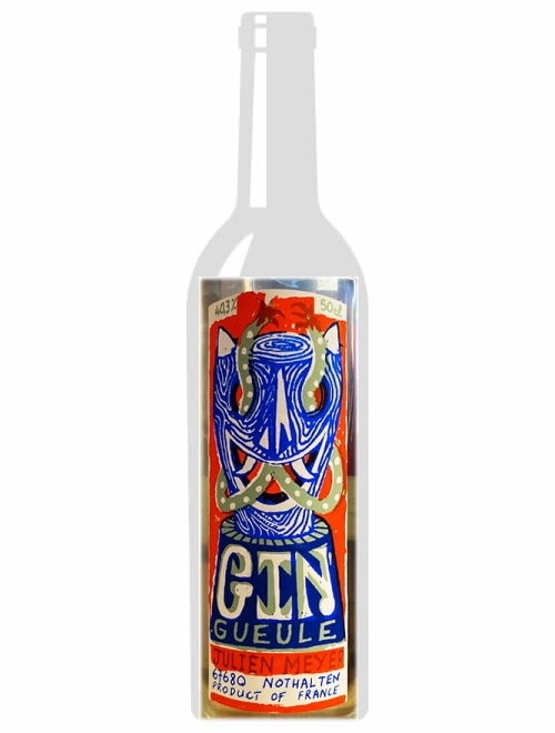 Gin（ジン）ＮＶ ジュリアン・メイエー（500ml）