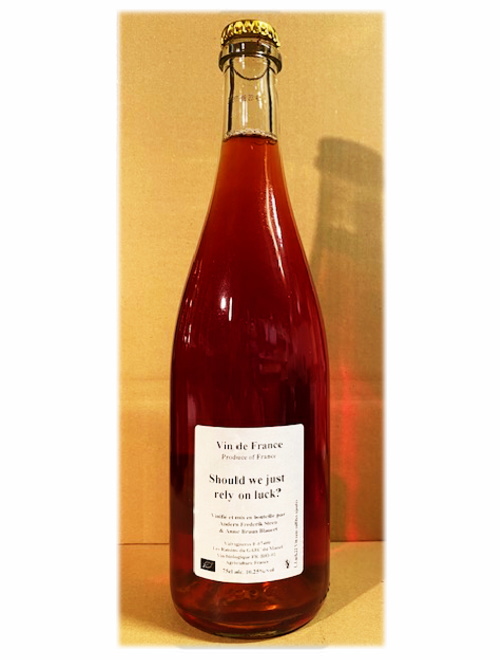 シュドゥ・ウィ・ジャスト・リライ・オン・ラック？2022 アンダース・フレデリック・スティーン